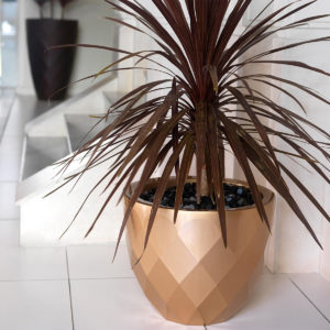 Vondom_Vases_planter_low_2