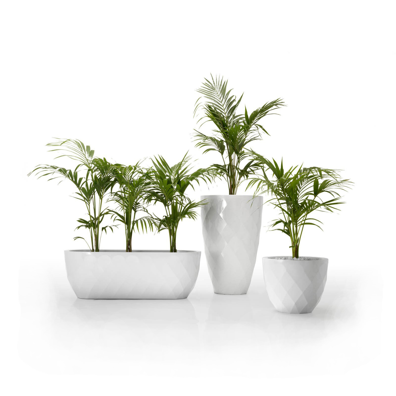 VASES LOW PLANTER <br/> By Vondom - Image 5