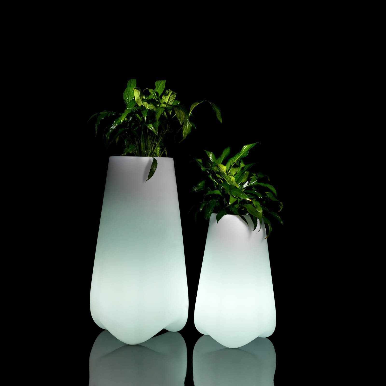PAL SMALL ILLUMINATED PLANTER <br/> By Vondom - Image 2