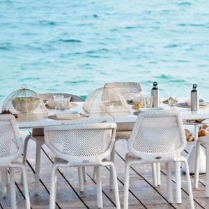 DEDON SEASHELL DINING SIDE CHAIR