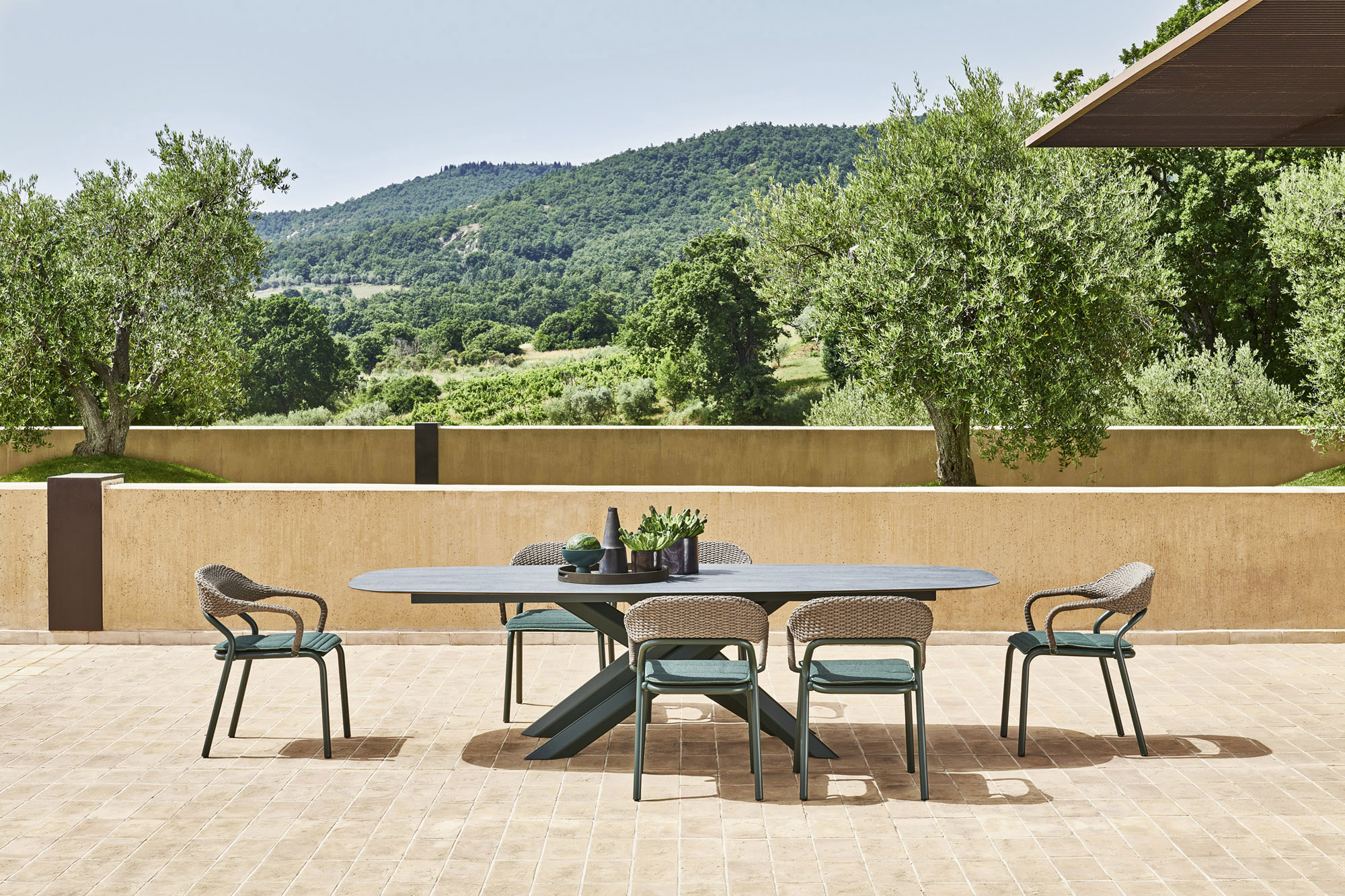 NOSS COLLECTION Banner Image