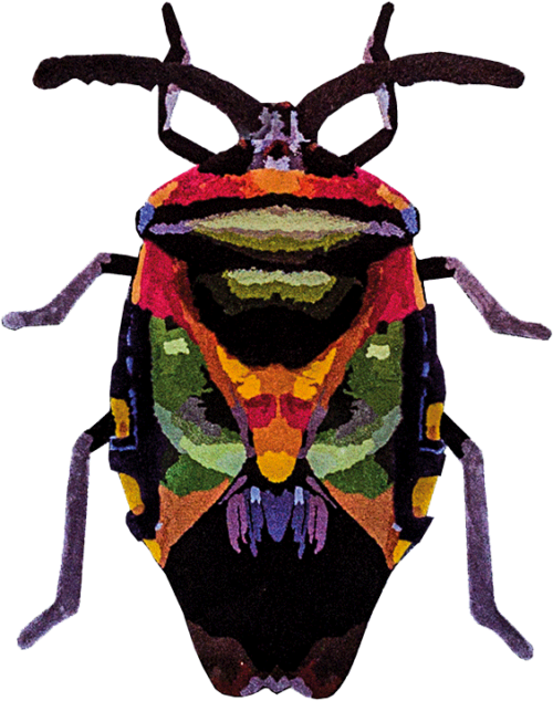 BEETLE <br/> by Ferreira de Sá