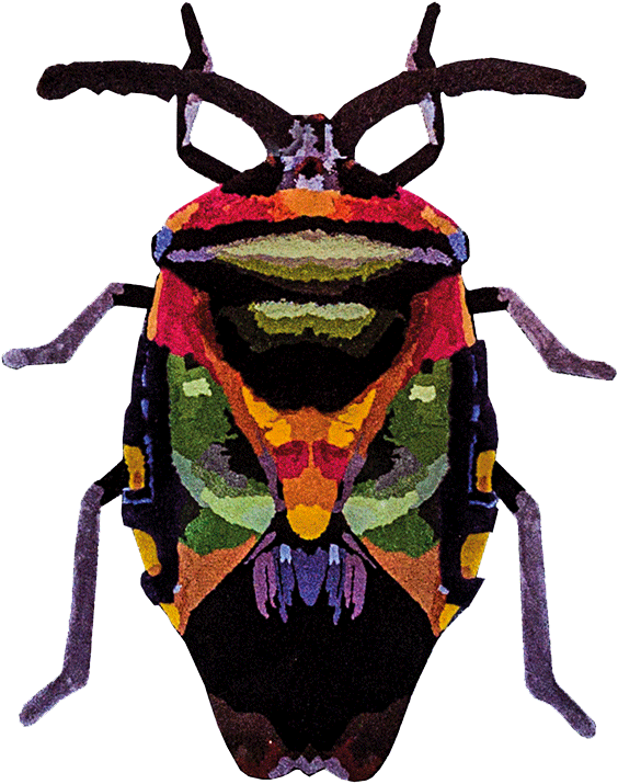 BEETLE <br/> by Ferreira de Sá