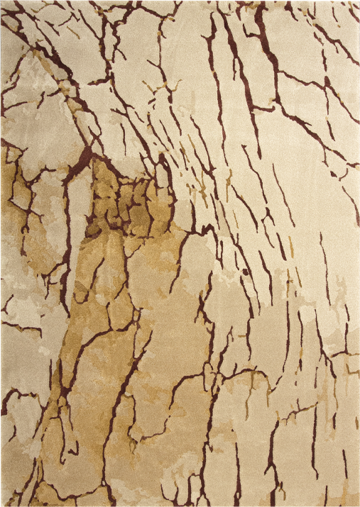 ROOTS <br/> by Ferreira de Sá
