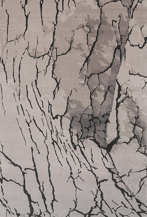 ROOTS <br/> by Ferreira de Sá - Image 2