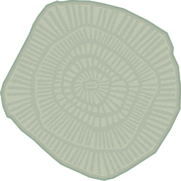 ANEMONE <br/> by Ferreira de Sá - Image 6