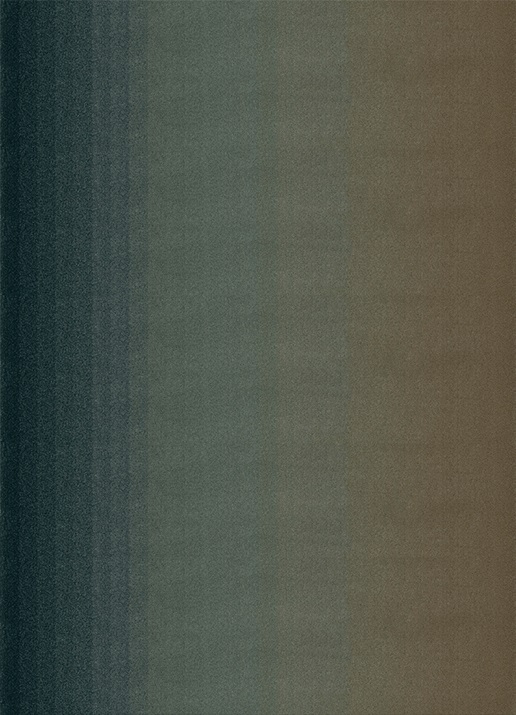 GRADIENT CARIBOU <br/> by Ferreira de Sá