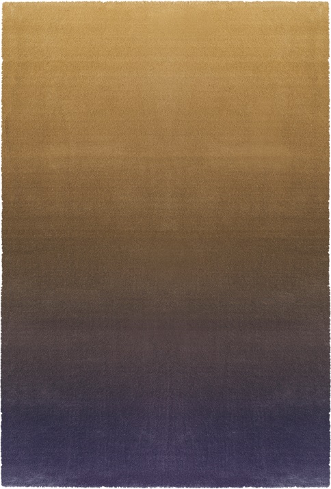 GRADIENT IRIS <br/> by Ferreira de Sá