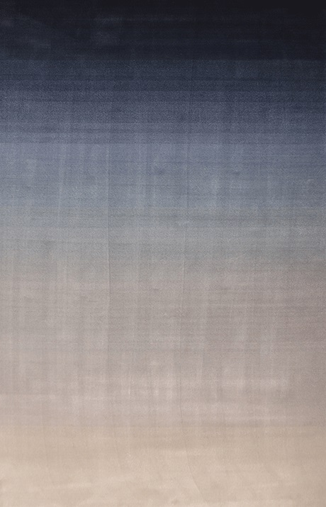 GRADIENT PIGEON <br/> by Ferreira de Sá