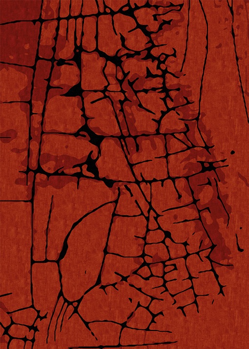 MUD CRACK <br/> by Ferreira de Sá - Image 2