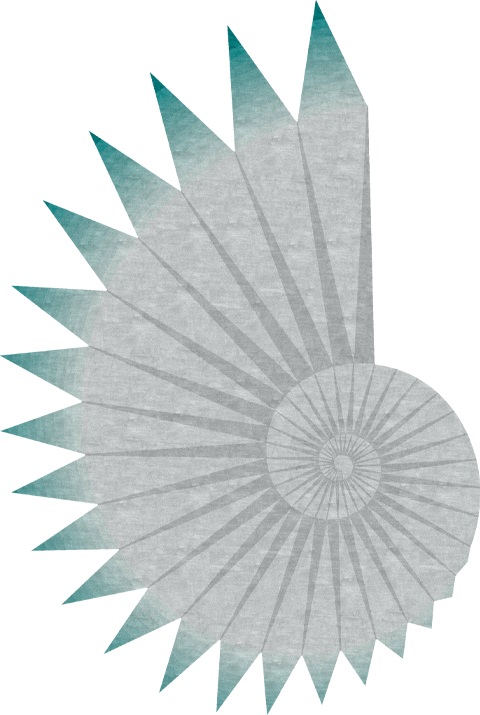 SEASHELL <br/> by Ferreira de Sá