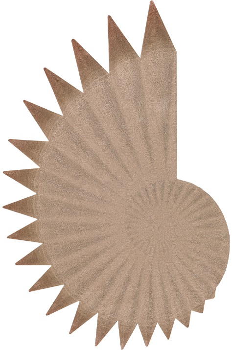SEASHELL <br/> by Ferreira de Sá - Image 2