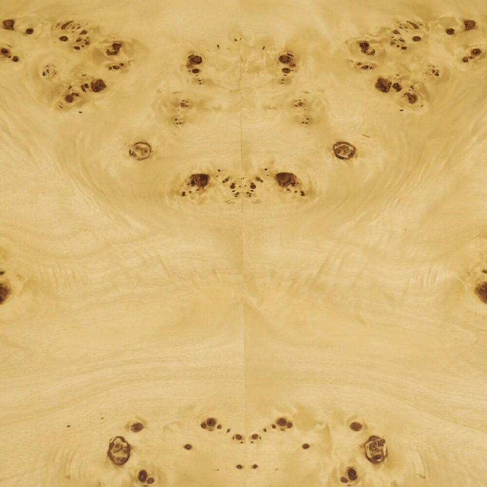 CONSOLE TABLE RAPHAEL <br/> by Eichholtz - Image 9